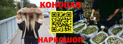 гашик Жуковский